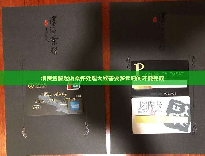 消费金融起诉案件处理大致需要多长时间才能完成