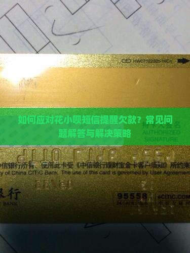 如何应对花小呗短信提醒欠款？常见问题解答与解决策略
