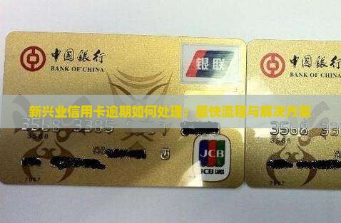 新兴业信用卡逾期如何处理：最快流程与解决方案