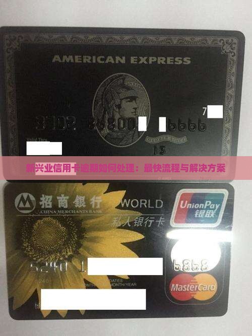 新兴业信用卡逾期如何处理：最快流程与解决方案