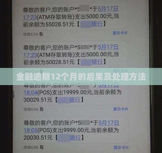 金融逾期12个月的后果及处理方法