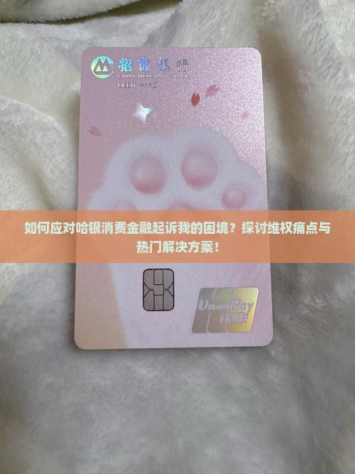如何应对哈银消费金融起诉我的困境？探讨维权痛点与热门解决方案！