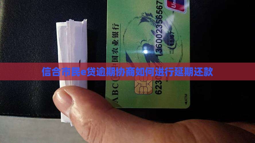 信合市民e贷逾期协商如何进行延期还款