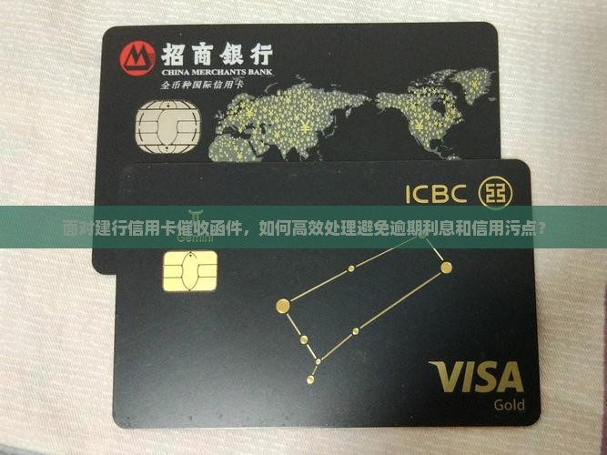 面对建行信用卡催收函件，如何高效处理避免逾期利息和信用污点？