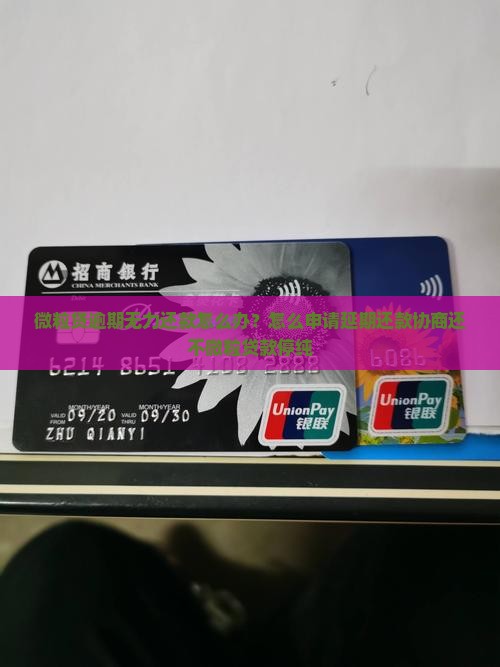 微粒贷逾期无力还款怎么办？怎么申请延期还款协商还不微粒贷款停纯