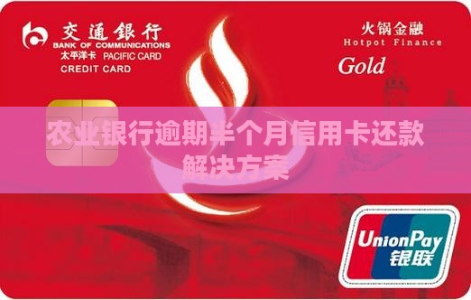 农业银行逾期半个月信用卡还款解决方案