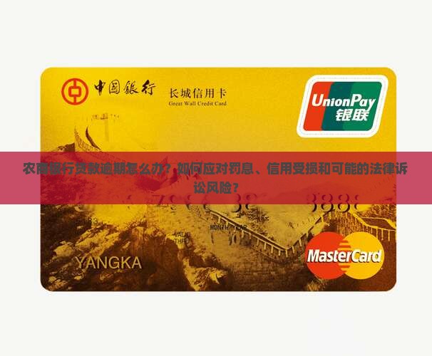 农商银行贷款逾期怎么办？如何应对罚息、信用受损和可能的法律诉讼风险？