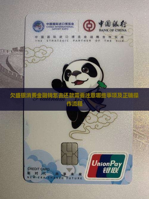 欠盛银消费金融钱怎去还款需要注意哪些事项及正确操作流程