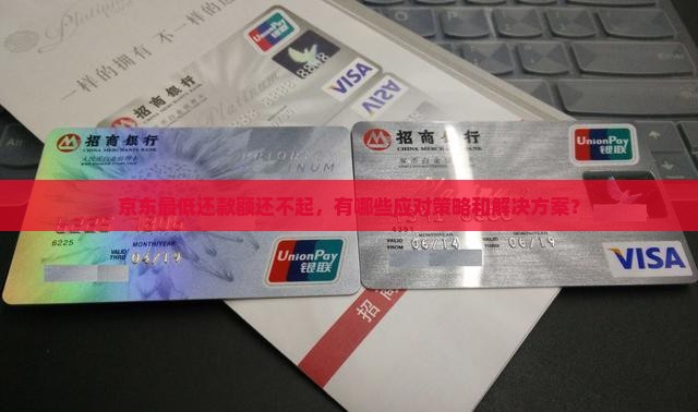 京东最低还款额还不起，有哪些应对策略和解决方案？