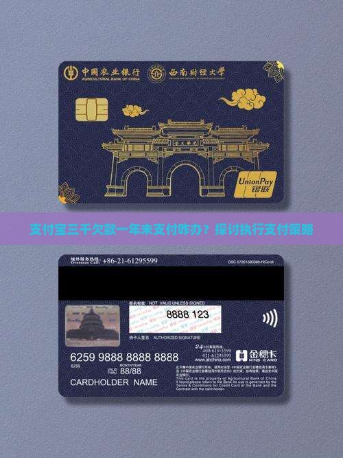 支付宝三千欠款一年未支付咋办？探讨执行支付策略