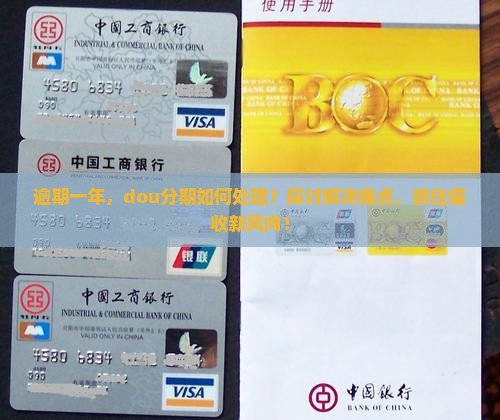 逾期一年，dou分期如何处理？探讨解决痛点，抓住催收新风向！