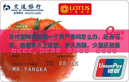 支付宝网贷逾期一个月严重吗怎么办，还点可否，逾期多久上征信，多久消除，少量还款催收加剧吗，不还违约金增长吗？