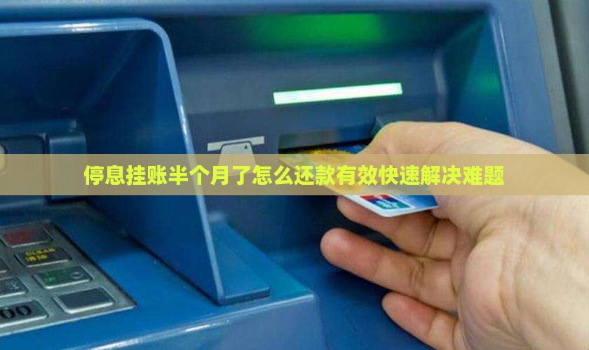 停息挂账半个月了怎么还款有效快速解决难题