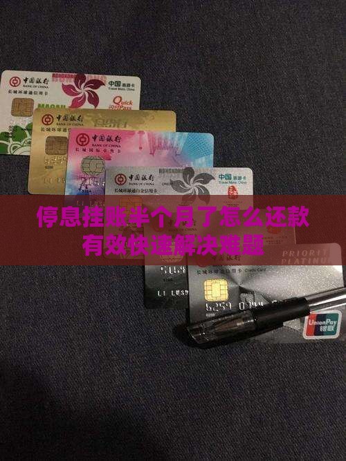 停息挂账半个月了怎么还款有效快速解决难题