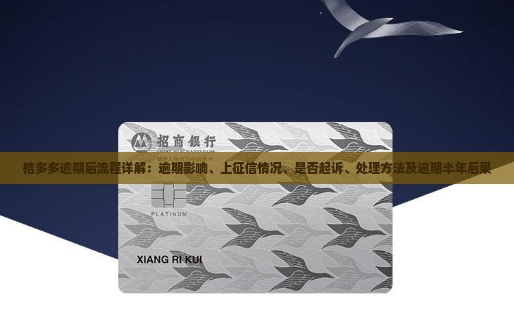 桔多多逾期后流程详解：逾期影响、上征信情况、是否起诉、处理方法及逾期半年后果