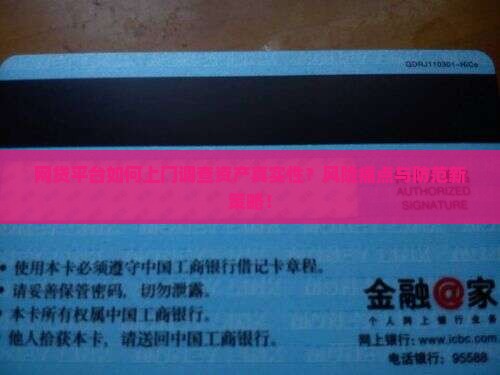 网贷平台如何上门调查资产真实性？风险痛点与防范新策略！
