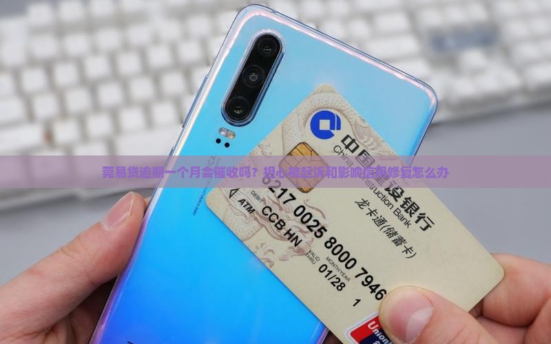 莞易贷逾期一个月会催收吗？担心被起诉和影响信用修复怎么办