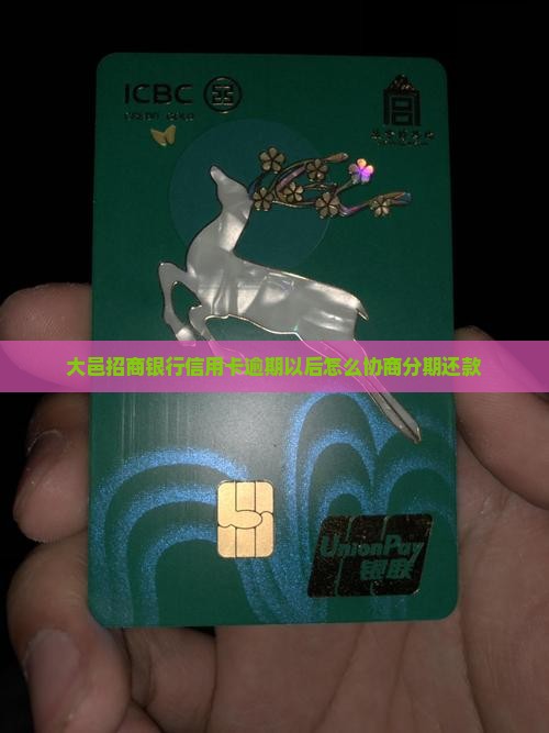 大邑招商银行信用卡逾期以后怎么协商分期还款