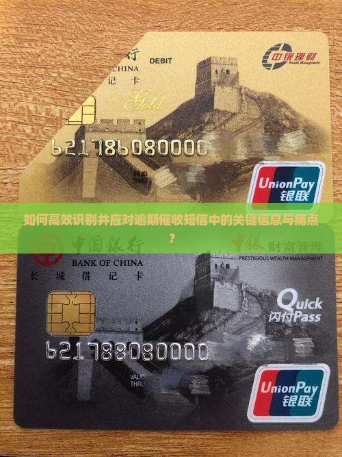 如何高效识别并应对逾期催收短信中的关键信息与痛点？