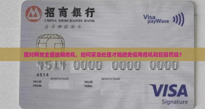 面对网贷全面逾期危机，如何紧急处理才能避免信用危机和巨额罚息？
