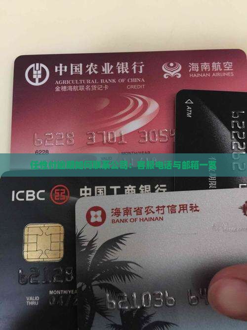 任性付逾期如何联系公司：客服电话与邮箱一览