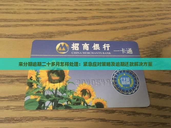 来分期逾期二十多月怎样处理：紧急应对策略及逾期还款解决方案