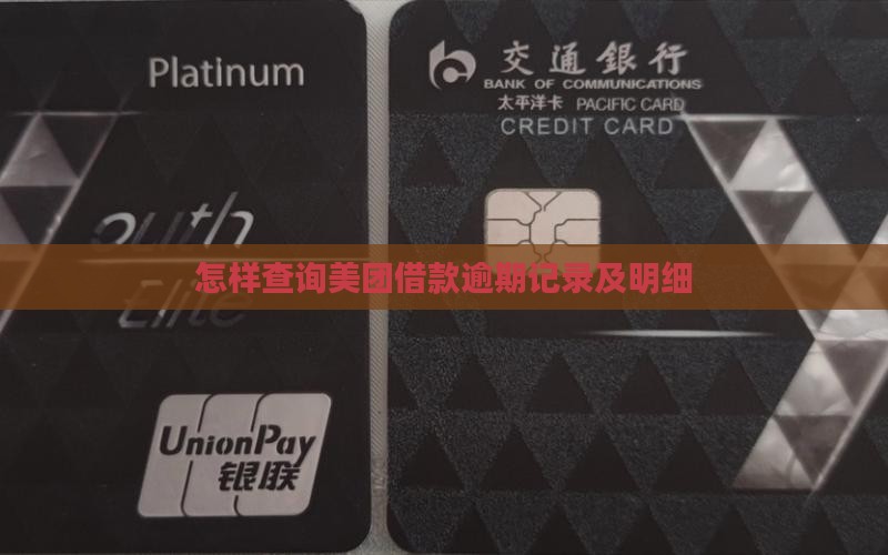 怎样查询美团借款逾期记录及明细