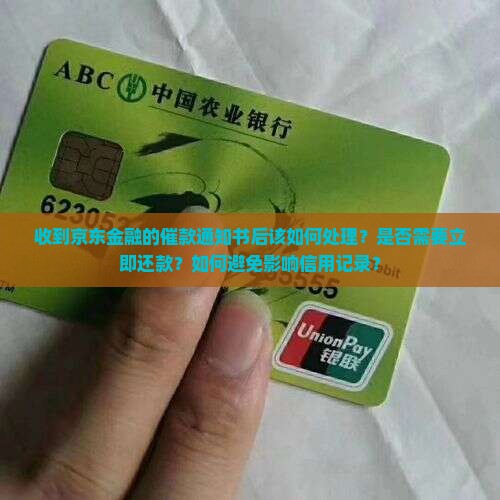 收到京东金融的催款通知书后该如何处理？是否需要立即还款？如何避免影响信用记录？