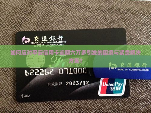 如何应对平安信用卡逾期六万多引发的困境与紧急解决方案？