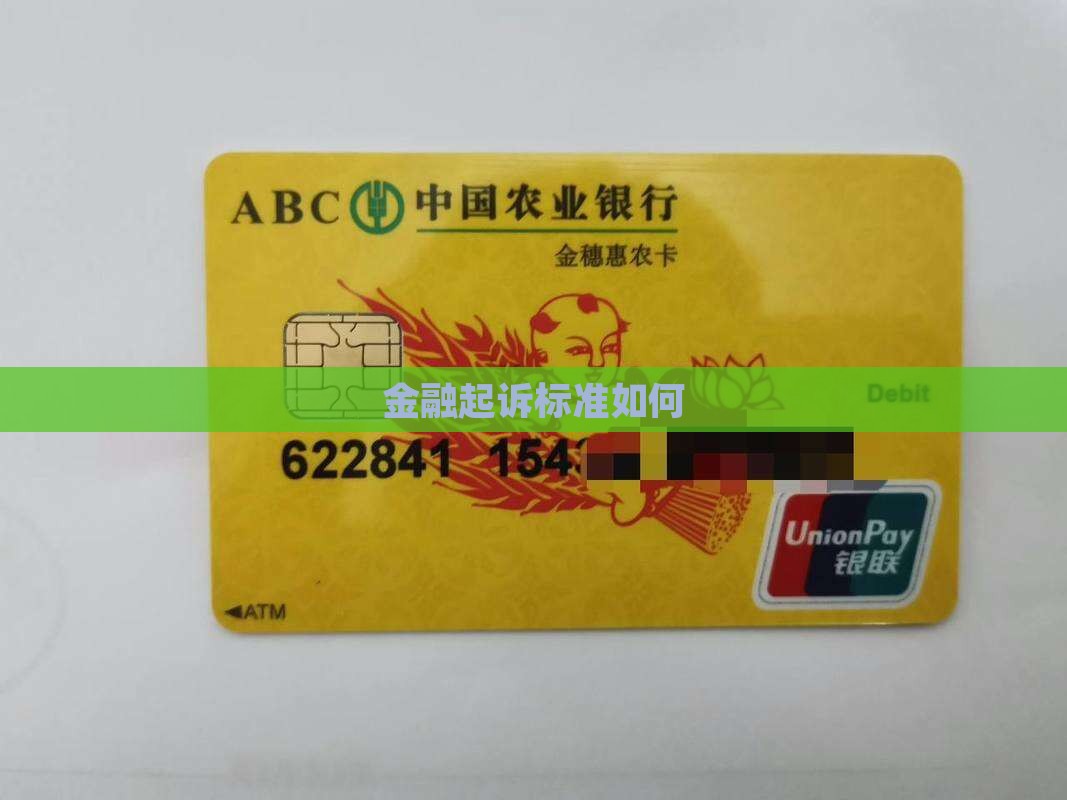 金融起诉标准如何