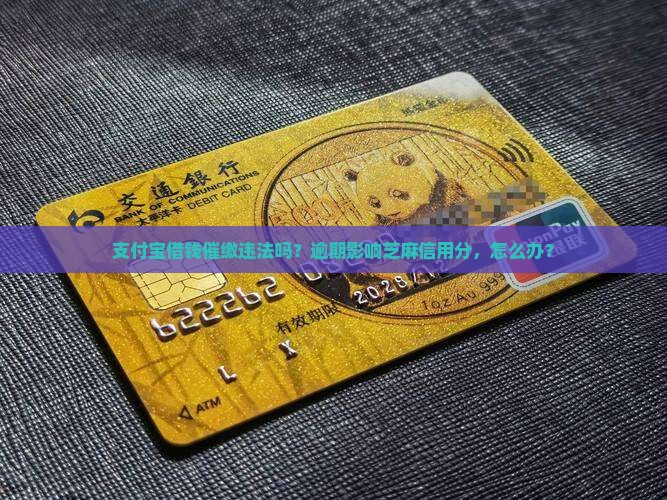 支付宝借钱催缴违法吗？逾期影响芝麻信用分，怎么办？