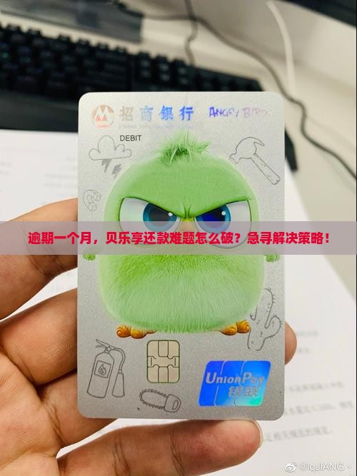 逾期一个月，贝乐享还款难题怎么破？急寻解决策略！