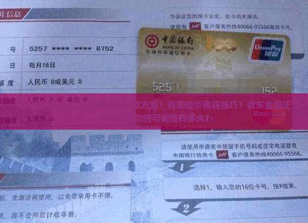 如何联系京东金融协商贷款还款方案？有哪些步骤和技巧？京东金融还款协商成功的可能性有多大？