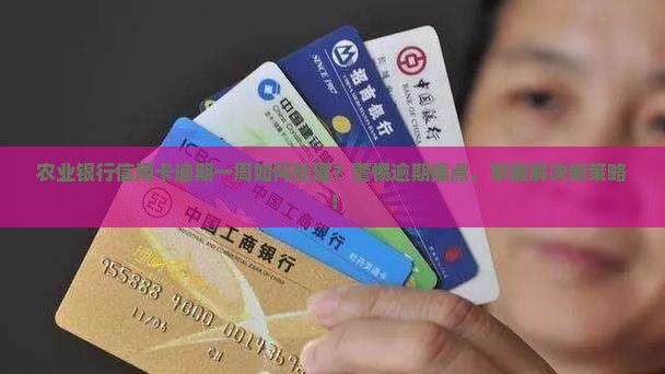 农业银行信用卡逾期一周如何处理？警惕逾期痛点，掌握解决新策略！