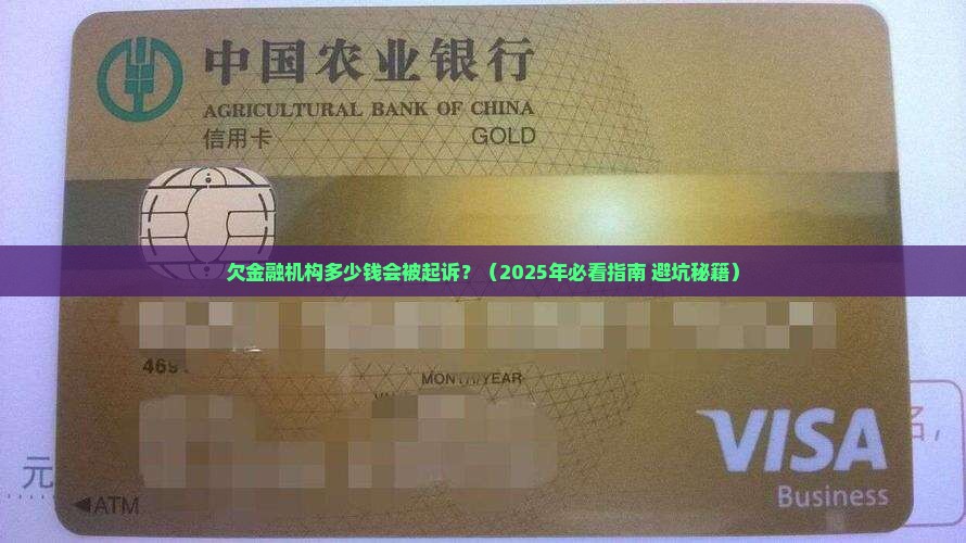 欠金融机构多少钱会被起诉