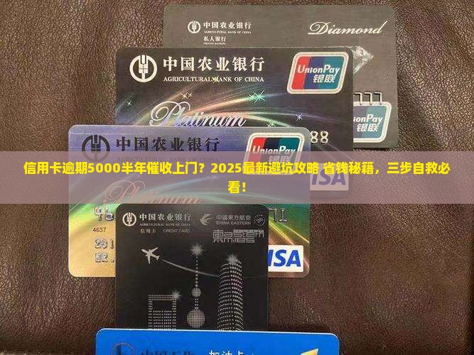 信用卡逾期5000半年催收上门