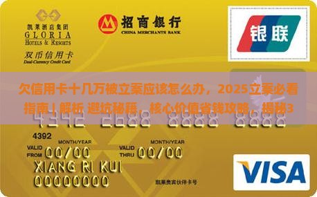 欠信用卡十几万被立案应该怎么办