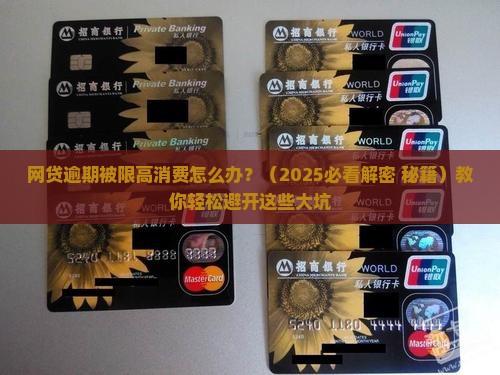 网贷逾期被限高消费如何解决