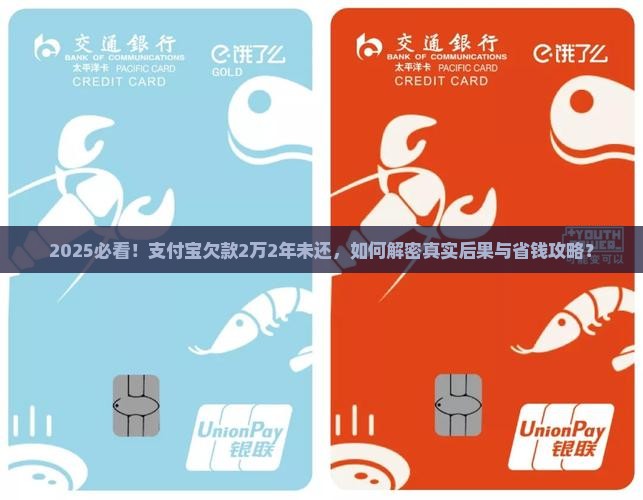 支付宝欠了二万多块二年都没还