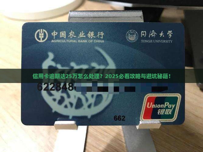 信用卡逾期达25万应该如何处理