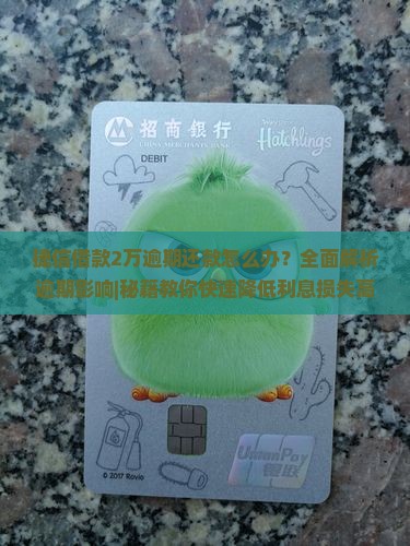 捷信借款2万逾期还款怎么办