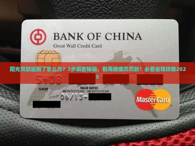 阳光贷款逾期了怎么办如何解决