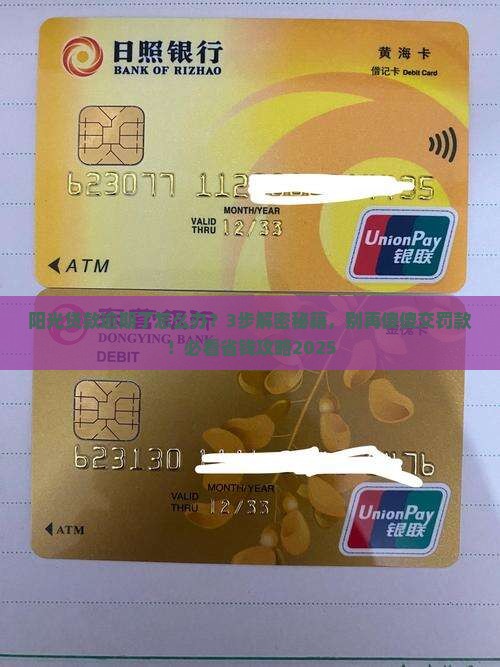 阳光贷款逾期了怎么办如何解决