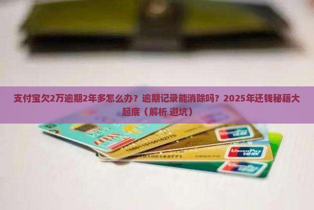 支付宝欠2万逾期2年多怎么办