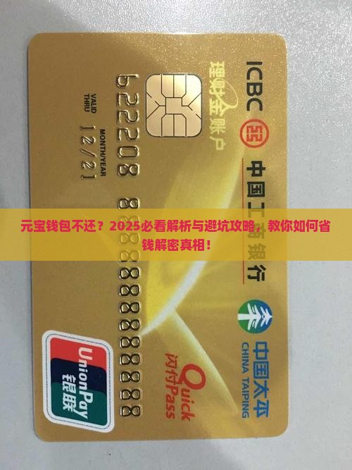 元宝钱包不还怎么处理