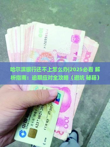 哈尔滨银行还不上怎么办