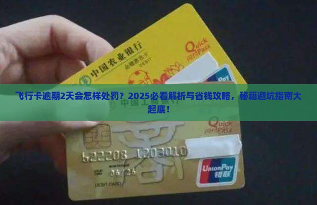 飞行卡逾期2天会怎样处罚