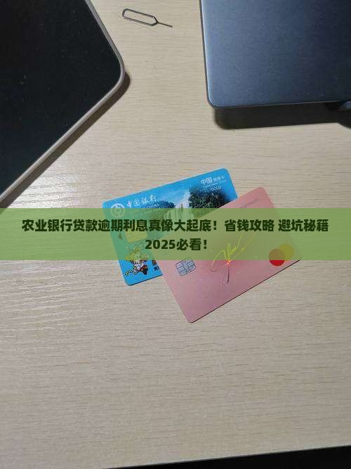 农业银行贷款逾期利息标准