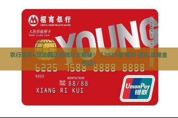 农行惠农e贷协商还款技巧