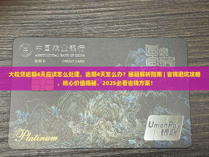 大粒贷逾期4天应该怎么处理